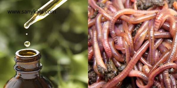 روغن خراطین اصل